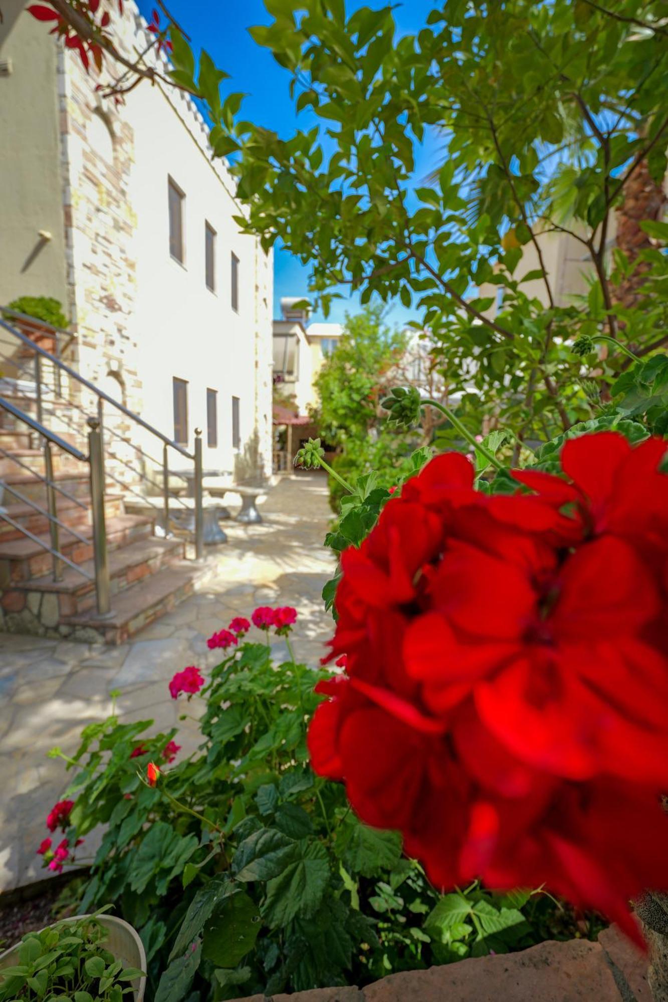 Villa Agur Kapo Ksamil Exteriér fotografie